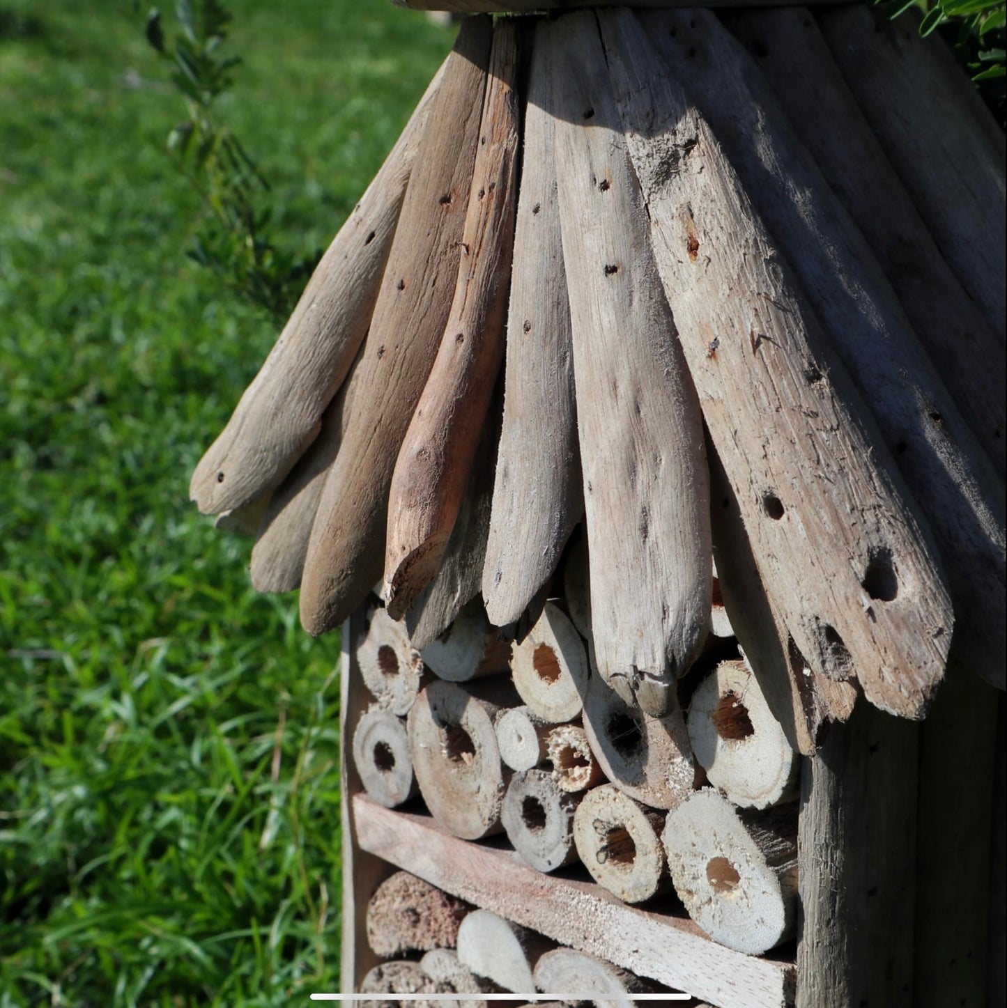 Drift Wood Hanging Insect & Bee Hotel