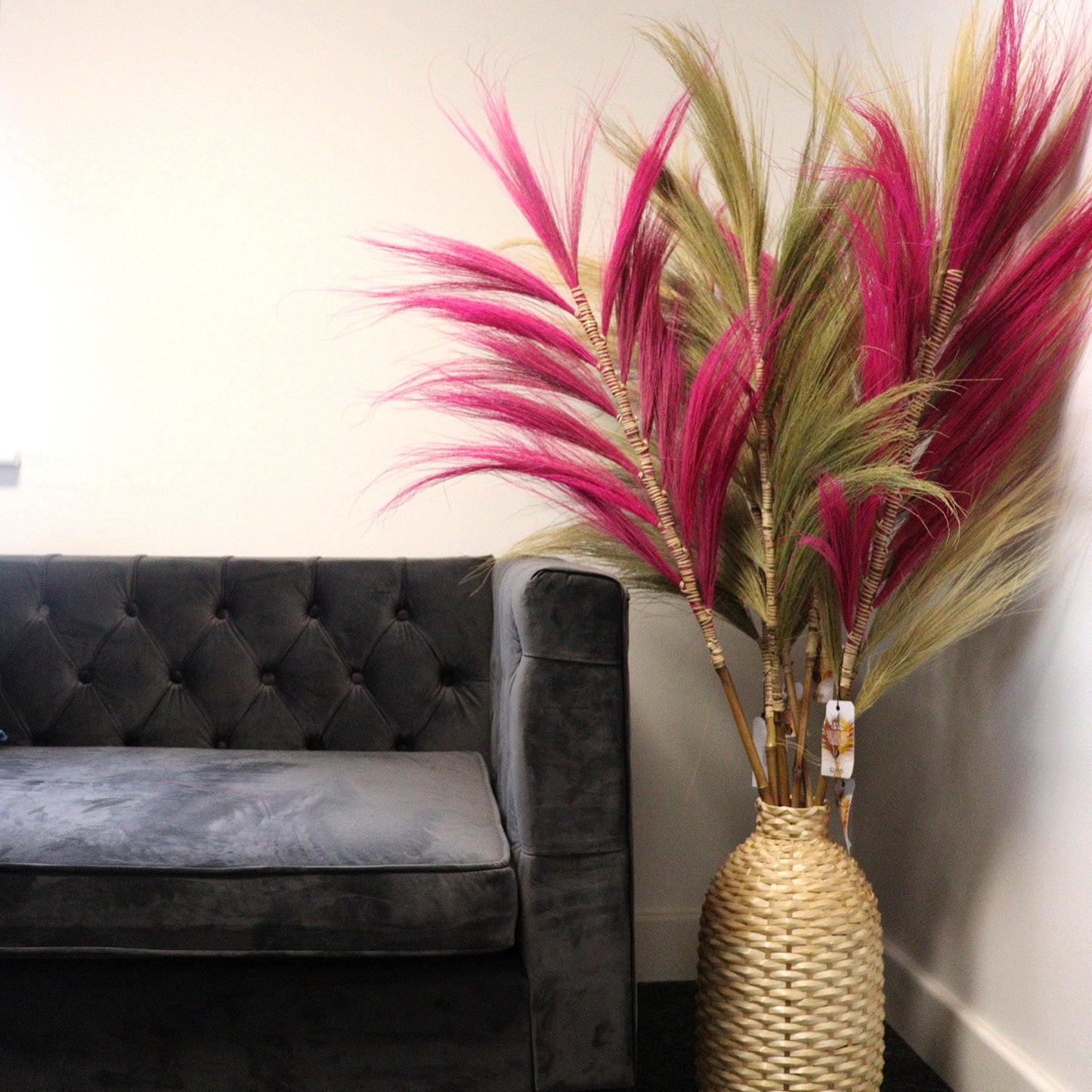 Rayung Pampas Grass - Pack Of 3