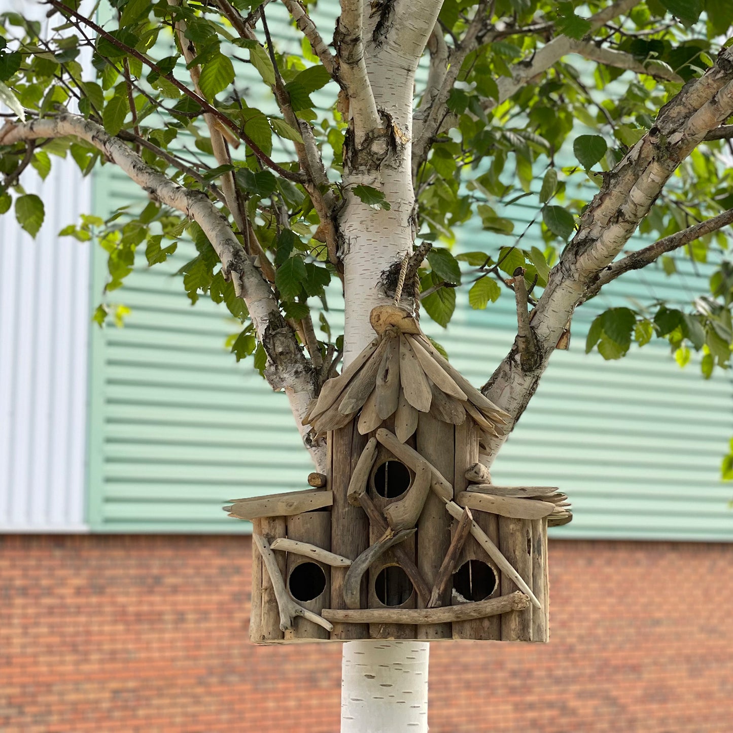 Driftwood Bird Box