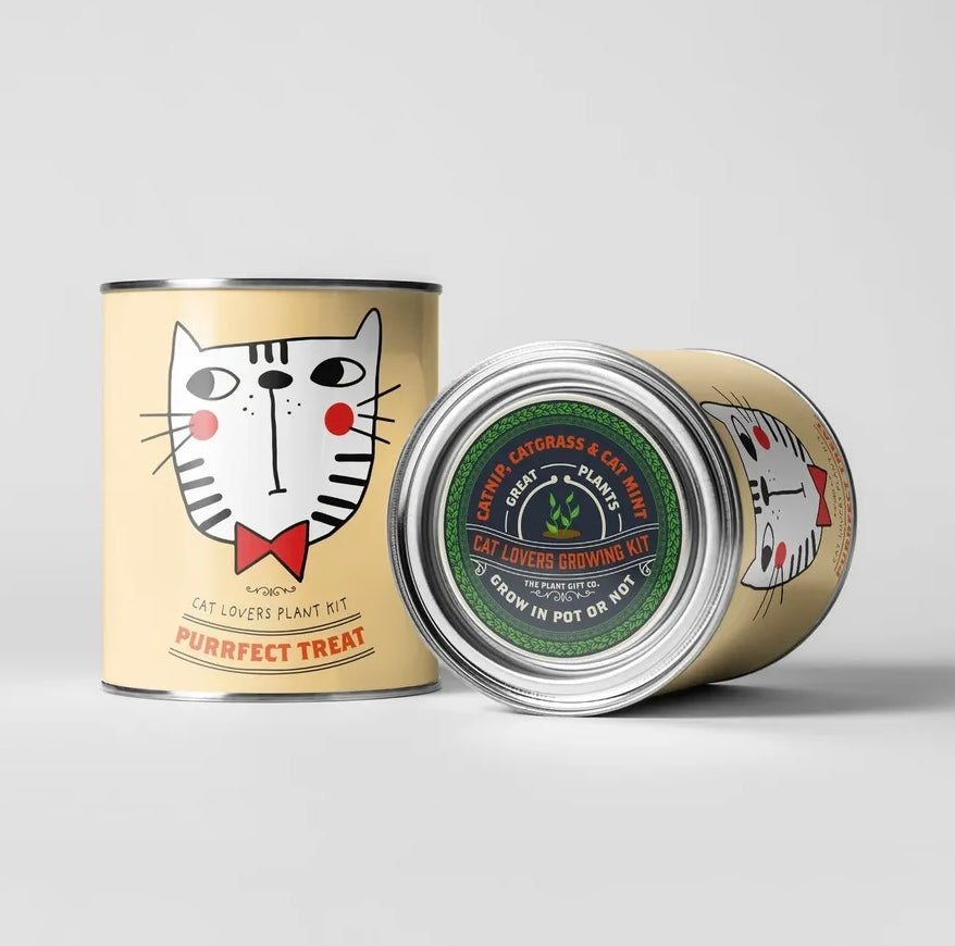 The Plant Gift Co | Cat Lovers Grow Kit
