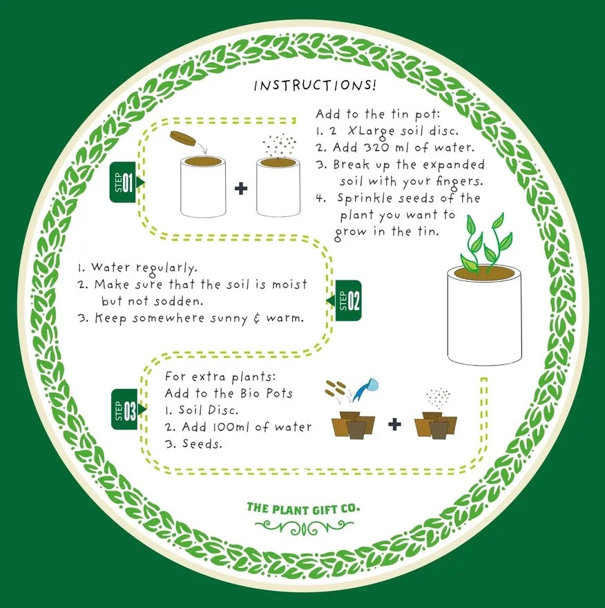 The Plant Gift Co | Chilli Grow Kit