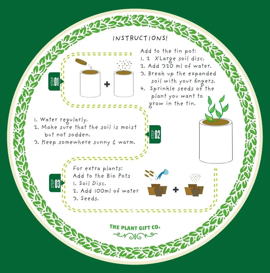 The Plant Gift Co | Flower Grow Kit