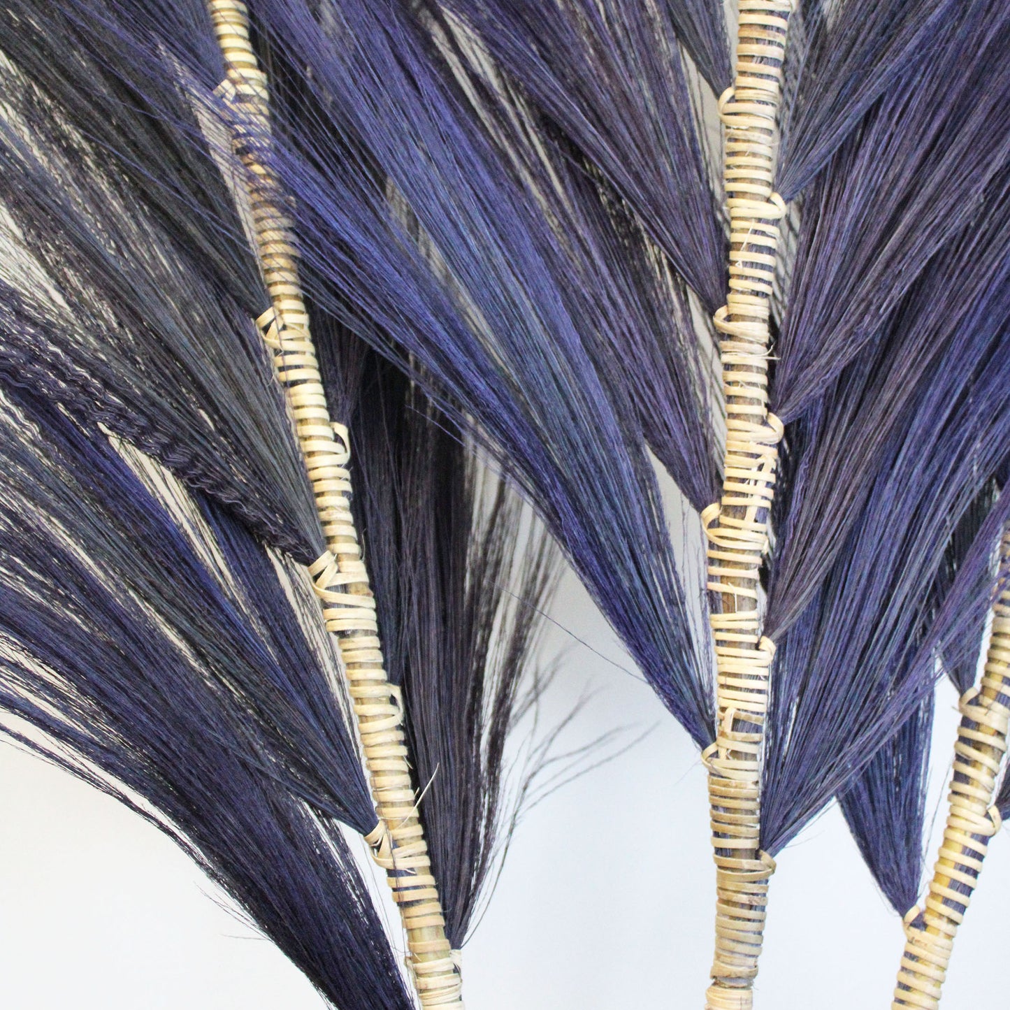 Rayung Pampas Grass - Pack Of 3