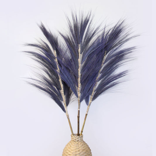 Rayung Pampas Grass - Pack Of 3