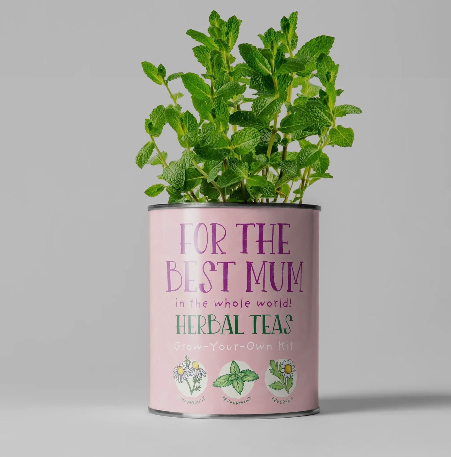 The Plant Gift Co | The Best Mum Herbal Tea