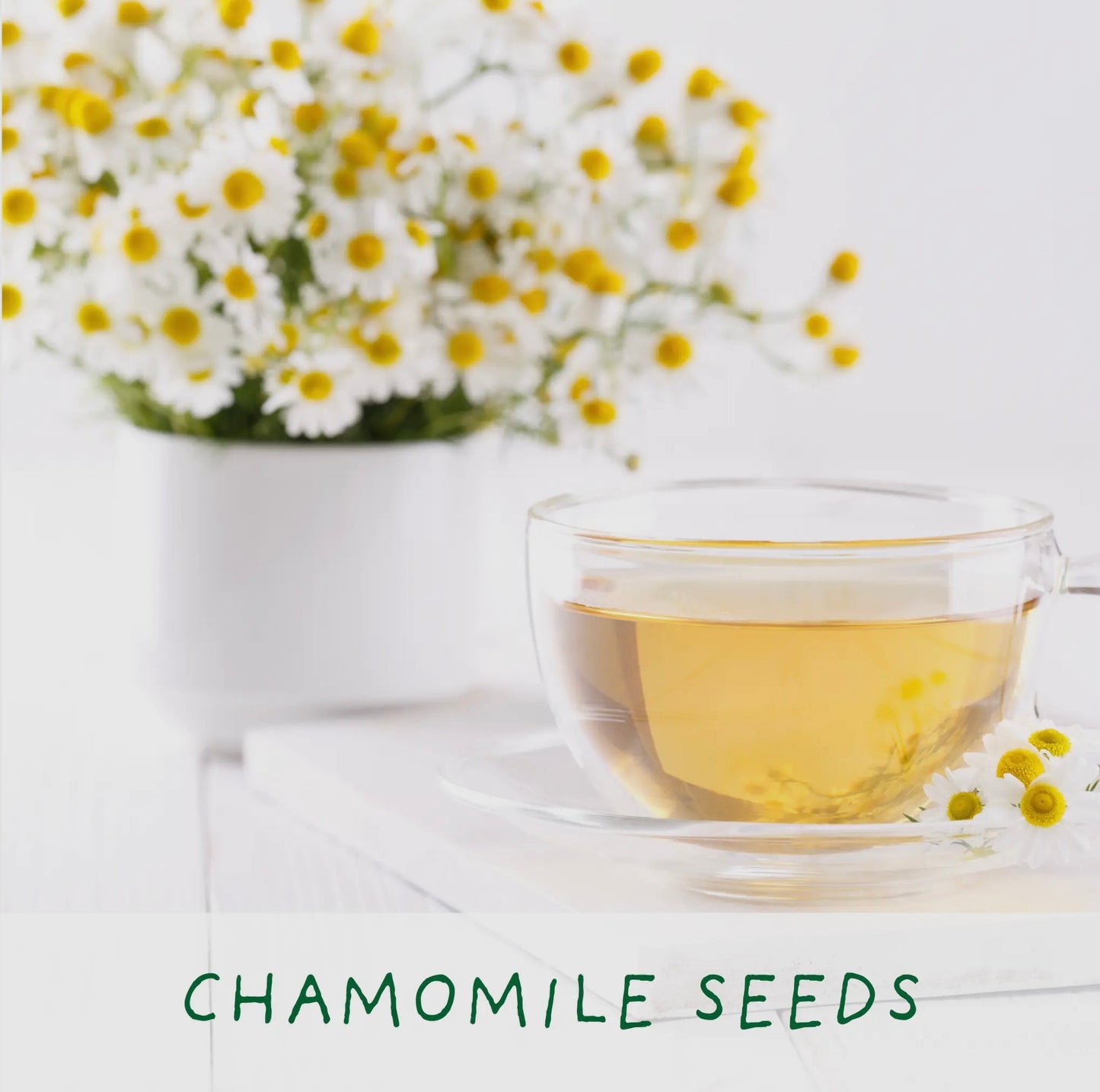 The Plant Gift Co | The Best Mum Herbal Tea